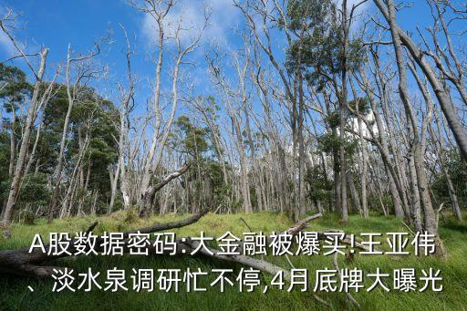 A股數(shù)據(jù)密碼:大金融被爆買!王亞偉、淡水泉調(diào)研忙不停,4月底牌大曝光