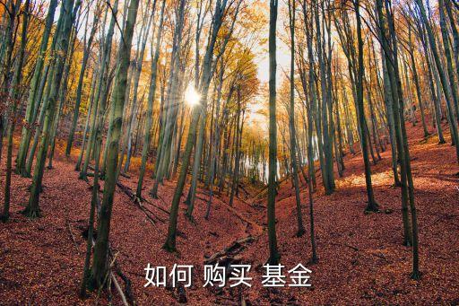 到哪里購買基金,哪里購買基金是免手續(xù)費(fèi)的呢