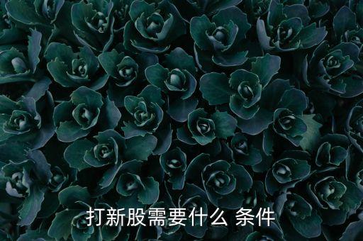 創(chuàng)業(yè)板股票申購(gòu)條件