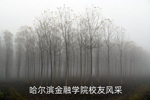  哈爾濱金融學(xué)院校友風采