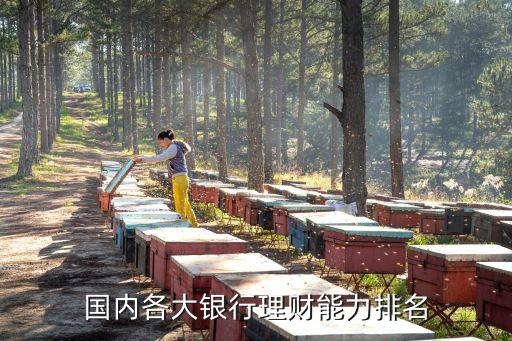 國(guó)內(nèi)各大銀行理財(cái)能力排名