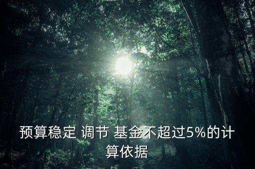 調節(jié)基金,預備費,預算周轉金,預算穩(wěn)定調節(jié)基金