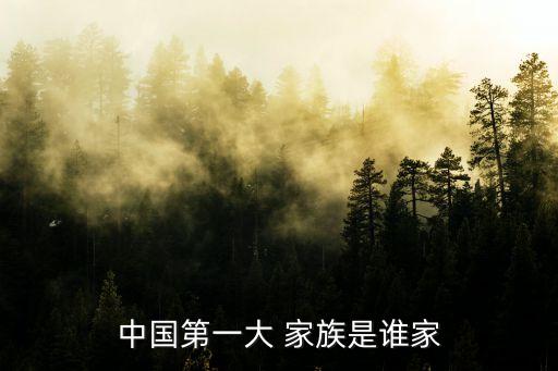 中國(guó)第一大 家族是誰家
