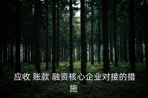  應收 賬款 融資核心企業(yè)對接的措施