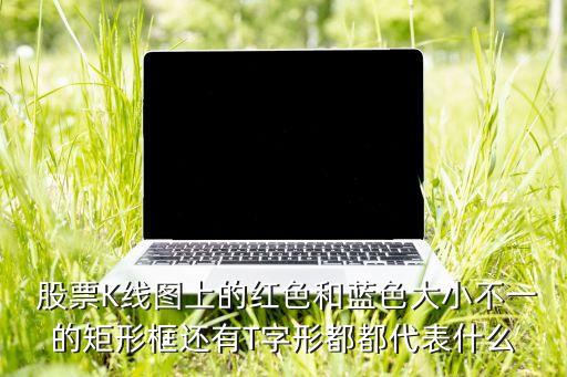 天圖股票今日收盤(pán)價(jià),東阿阿膠股票今日收盤(pán)價(jià)多少