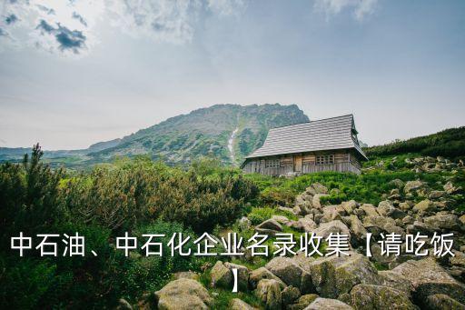 中石油、中石化企業(yè)名錄收集【請(qǐng)吃飯】