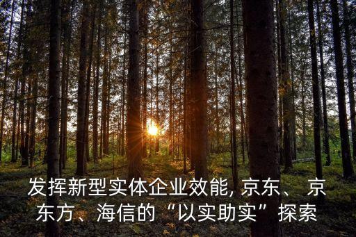 發(fā)揮新型實體企業(yè)效能, 京東、 京東方、海信的“以實助實”探索