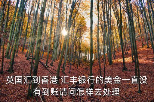 英國匯到香港 匯豐銀行的美金一直沒有到賬請(qǐng)問怎樣去處理