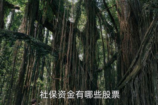 全國社?；鸾M合