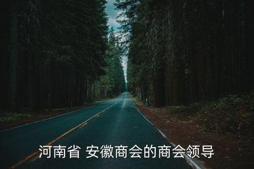河南省 安徽商會的商會領導