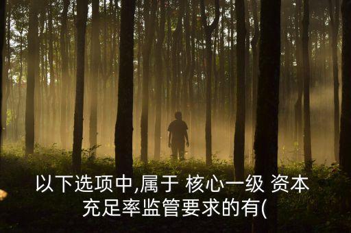以下選項(xiàng)中,屬于 核心一級 資本 充足率監(jiān)管要求的有(