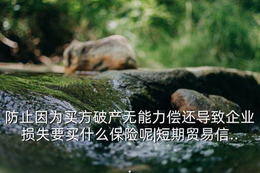 防止因為買方破產(chǎn)無能力償還導致企業(yè)損失要買什么保險呢|短期貿易信...