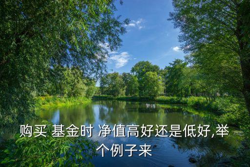 購買 基金時(shí) 凈值高好還是低好,舉個(gè)例子來