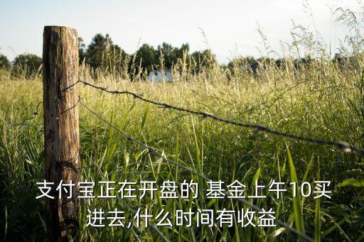 支付寶正在開(kāi)盤的 基金上午10買進(jìn)去,什么時(shí)間有收益