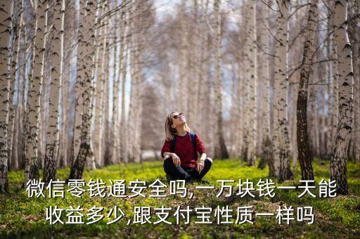  微信零錢通安全嗎,一萬(wàn)塊錢一天能收益多少,跟支付寶性質(zhì)一樣嗎