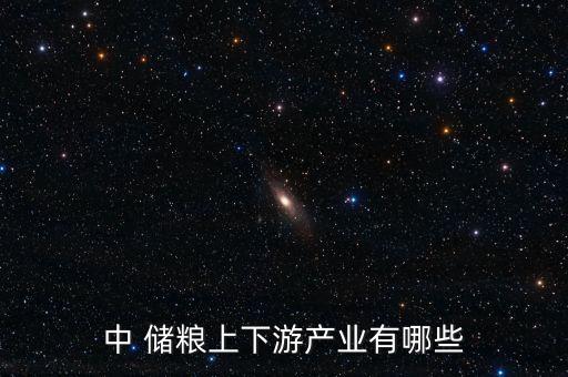 中儲(chǔ)糧物流公司張東升,鲅魚圈中儲(chǔ)糧張東升