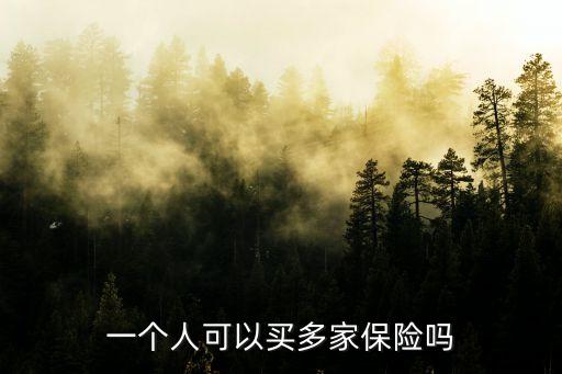買(mǎi)多份保險(xiǎn)選不同保險(xiǎn)公司
