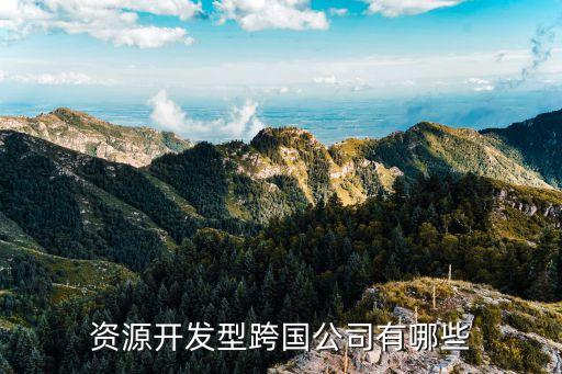 聯合利華中國區(qū)總裁