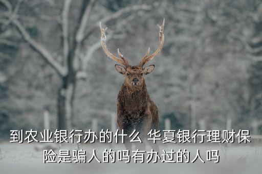 到農(nóng)業(yè)銀行辦的什么 華夏銀行理財(cái)保險(xiǎn)是騙人的嗎有辦過(guò)的人嗎