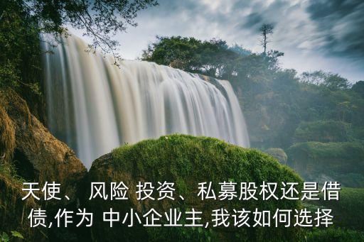天使、 風(fēng)險(xiǎn) 投資、私募股權(quán)還是借債,作為 中小企業(yè)主,我該如何選擇