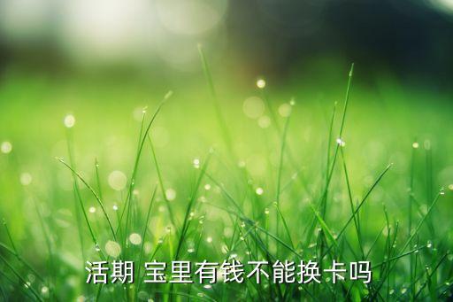  活期 寶里有錢(qián)不能換卡嗎