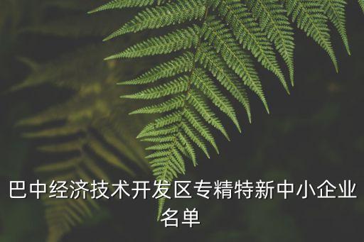 巴中經(jīng)濟技術(shù)開發(fā)區(qū)專精特新中小企業(yè)名單