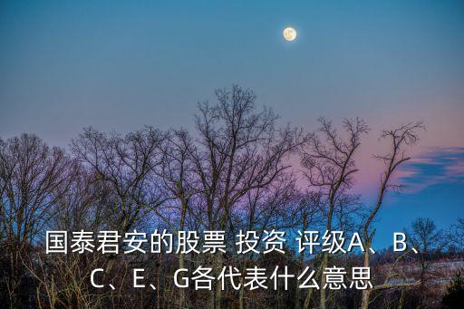 國泰君安的股票 投資 評(píng)級(jí)A、B、C、E、G各代表什么意思