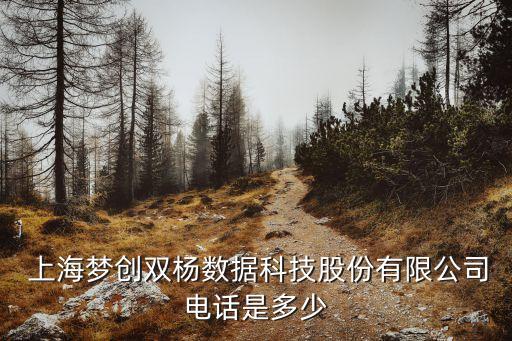  上海夢(mèng)創(chuàng)雙楊數(shù)據(jù)科技股份有限公司電話(huà)是多少