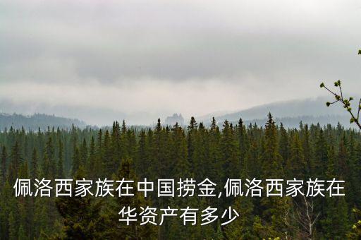 佩洛西家族在中國(guó)撈金,佩洛西家族在華資產(chǎn)有多少
