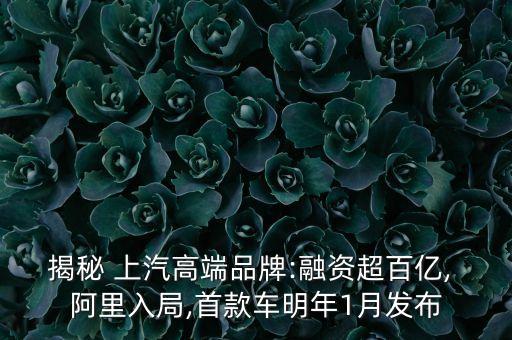 阿里上汽互聯(lián)網(wǎng)汽車(chē)公司,上汽大通互聯(lián)網(wǎng)汽車(chē)登錄怎么登錄