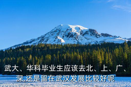 武大、華科畢業(yè)生應該去北、上、廣、深,還是留在武漢發(fā)展比較好呢
