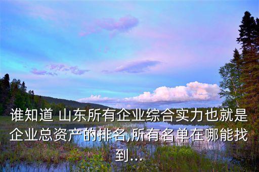 誰知道 山東所有企業(yè)綜合實力也就是企業(yè)總資產的排名,所有名單在哪能找到...