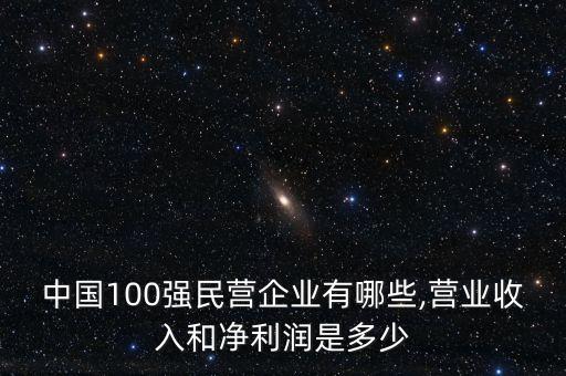 中國(guó)100強(qiáng)民營(yíng)企業(yè)有哪些,營(yíng)業(yè)收入和凈利潤(rùn)是多少