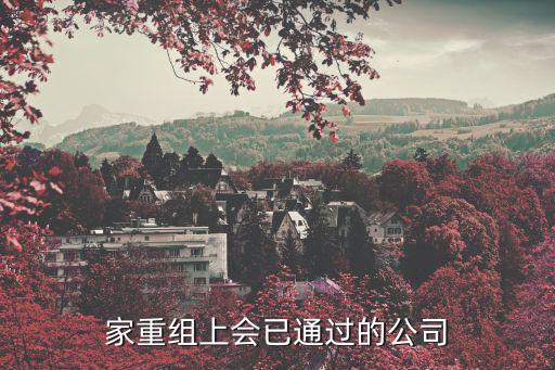 13家重組上會(huì)已通過(guò)的公司