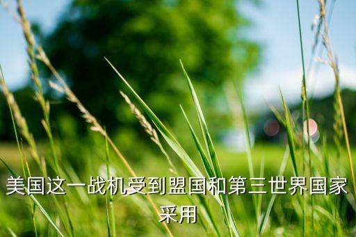 海外戰(zhàn)斗機(jī)上市公司,殲20戰(zhàn)斗機(jī)哪個(gè)上市公司生產(chǎn)