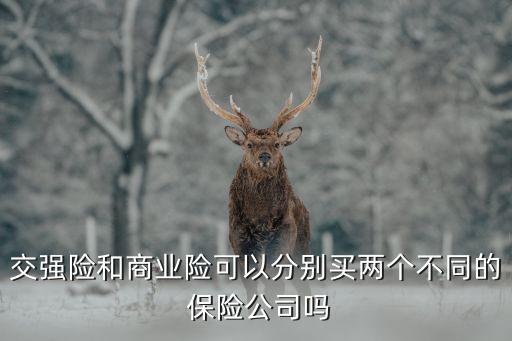 交強(qiáng)險和商業(yè)險可以分別買兩個不同的 保險公司嗎