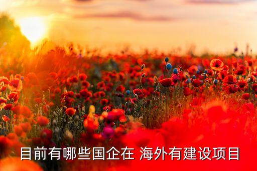 目前有哪些國(guó)企在 海外有建設(shè)項(xiàng)目