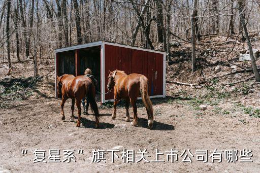 “ 復星系”旗下相關(guān)上市公司有哪些