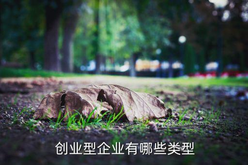  創(chuàng)業(yè)型企業(yè)有哪些類型