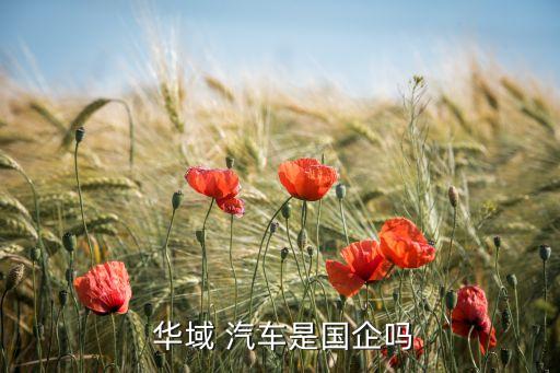  華域 汽車是國(guó)企嗎