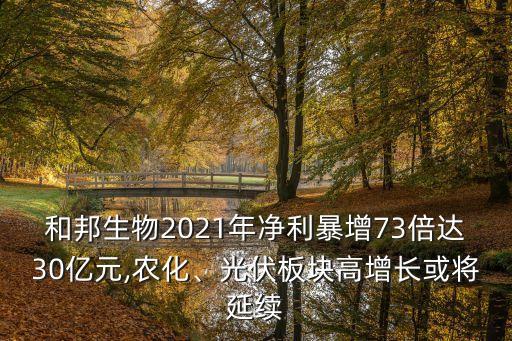 和邦生物2021年凈利暴增73倍達30億元,農(nóng)化、光伏板塊高增長或?qū)⒀永m(xù)