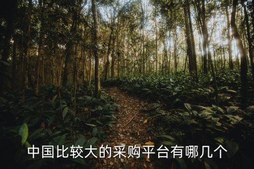 愛(ài)多買(mǎi)電子商務(wù)有限公司,四川文軒在線電子商務(wù)有限公司