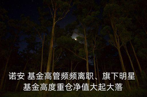 諾安 基金高管頻頻離職、旗下明星 基金高度重倉凈值大起大落