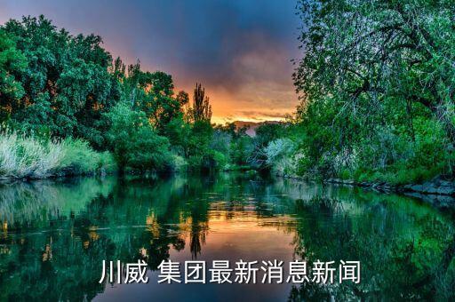 川威集團(tuán)破產(chǎn)六盤(pán)水市政府