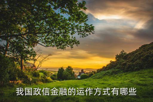 我國政信金融的運作方式有哪些