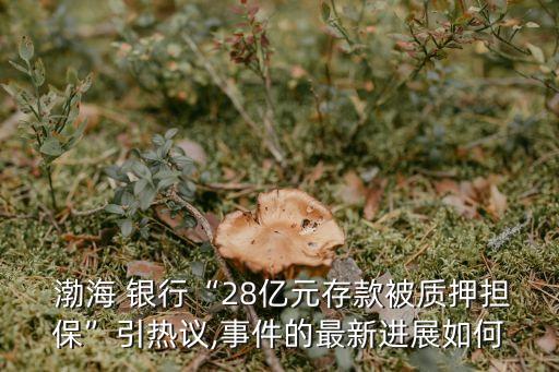  渤海 銀行“28億元存款被質(zhì)押擔(dān)?！币裏嶙h,事件的最新進(jìn)展如何