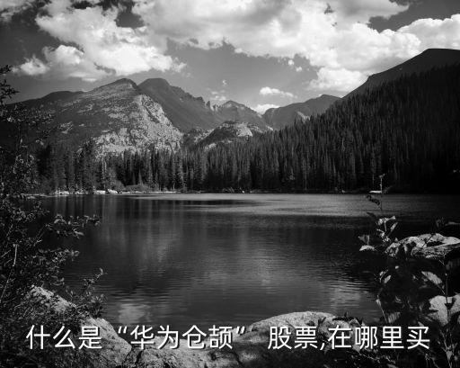 什么是“華為倉(cāng)頡” 股票,在哪里買(mǎi)