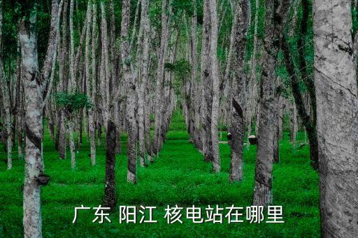 陽(yáng)江核電基地開(kāi)發(fā)有限公司,中廣核核電運(yùn)營(yíng)有限公司陽(yáng)江分公司