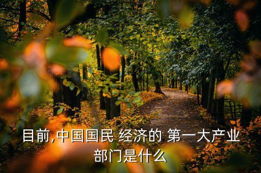 目前,中國國民 經濟的 第一大產業(yè)部門是什么