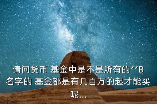 請(qǐng)問(wèn)貨幣 基金中是不是所有的**B名字的 基金都是有幾百萬(wàn)的起才能買(mǎi)呢...